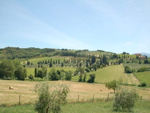 Via Francigena in Toscane - landschap
