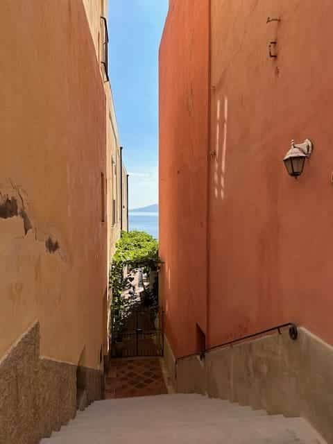 Salina, rijke natuur op eiland bij Sicilië 6 IMG 8756 e1703106053164