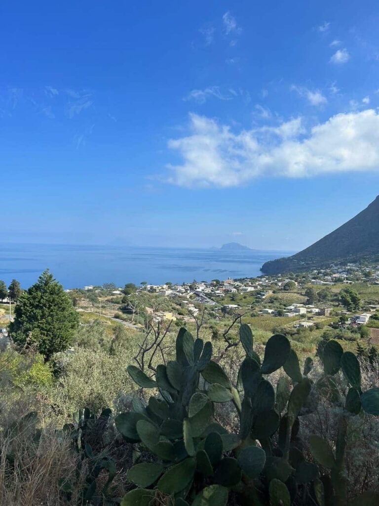 Salina, rijke natuur op eiland bij Sicilië 5 IMG 8779 e1703241530654