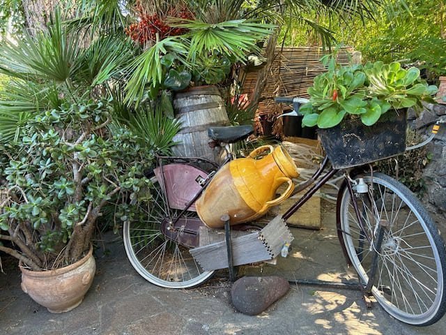 Salina, rijke natuur op eiland bij Sicilië 2 IMG 8856