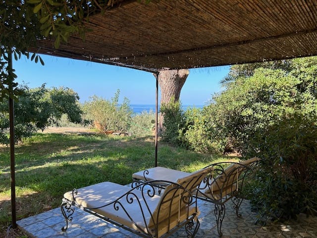 Salina, rijke natuur op eiland bij Sicilië 8 IMG 8888