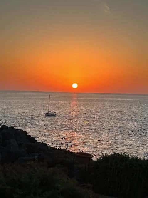 IMG 8976 e1703106387358