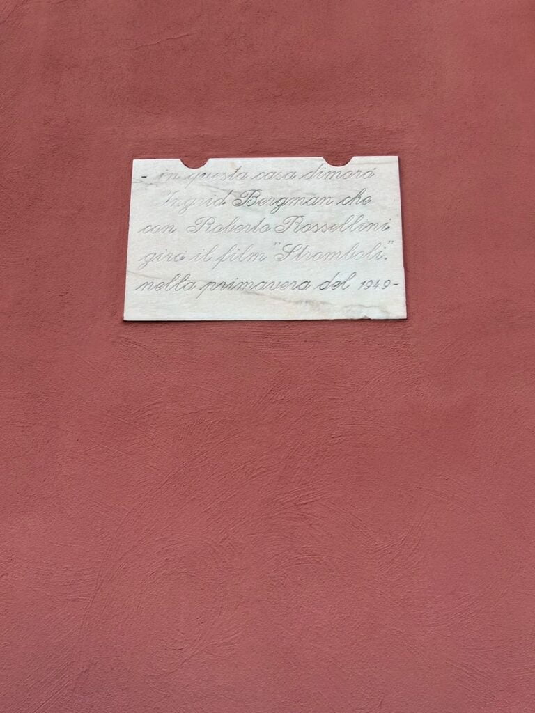 IMG 9154 e1703238055353