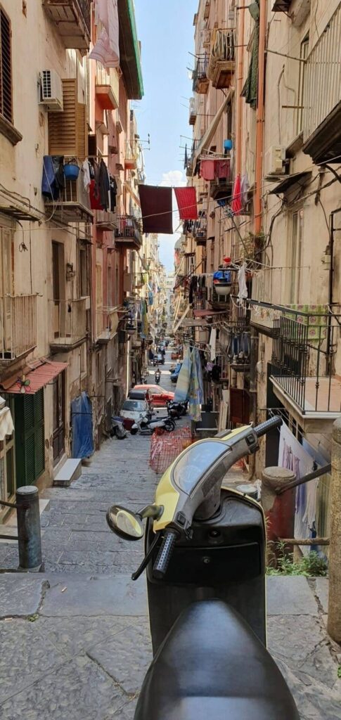 1779 scaled e1704276421910