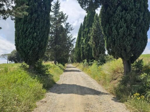Wandelen in Toscane - de mooiste routes - cipressenweg