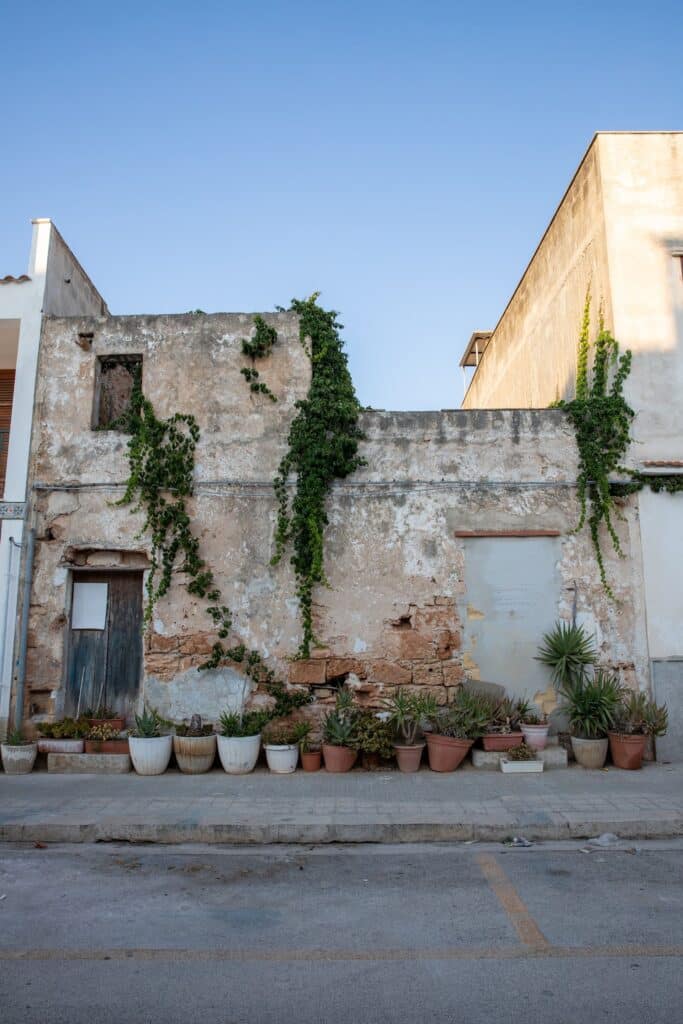 San Vito lo Capo trapani planten voor huis