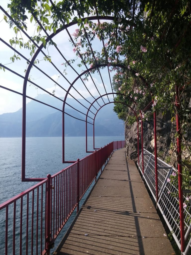 Comomeer - Varenna - Passeggiata degli innamorati