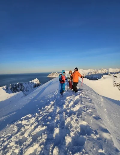Senja by Heart - Nature Travel Lab