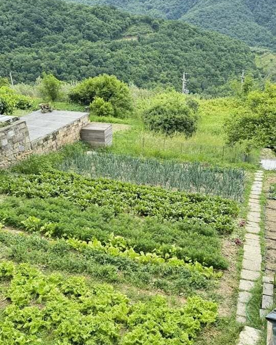 The Most Beautiful Places in Slovenia: the Coast, the Alps, Caves, and Valleys 3 Padna - Vegetable Garden
