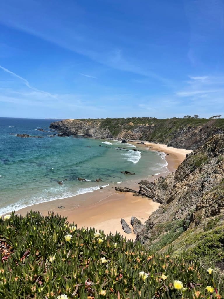 Georganiseerde wandelreis Rota Vicentina: 8 dagen over het Visserspad 3 Rota Vicentina - uitzicht op strand met bloemen