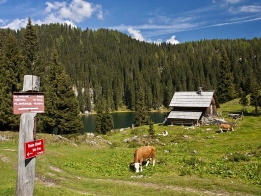 sloveense alpen - prsivec-fuzinske-planine