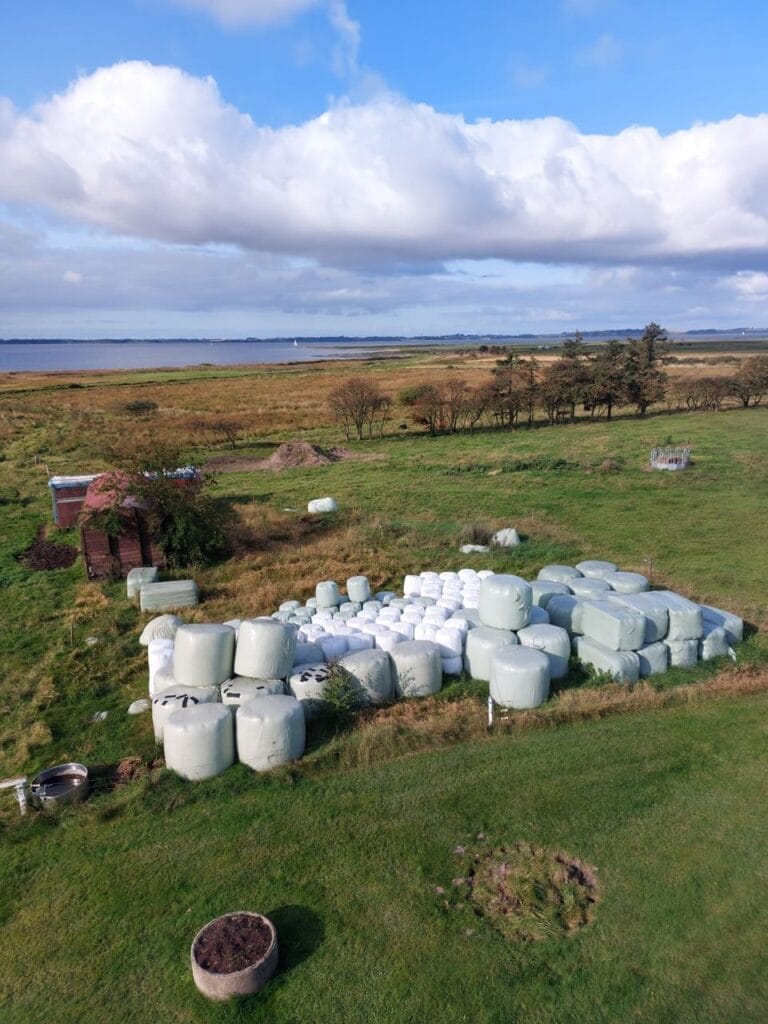 Denemarken - Himmerland - Camping Faro Fjord - hooibalen