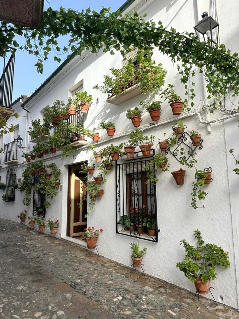 Priego de Córdoba - steegje met planten