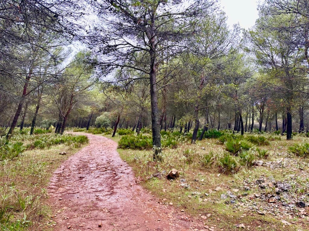 Sierra de Gilena