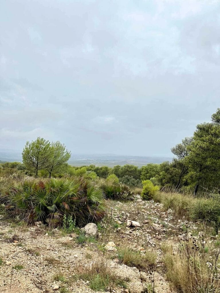 Caminos de Pasion - route langs keien