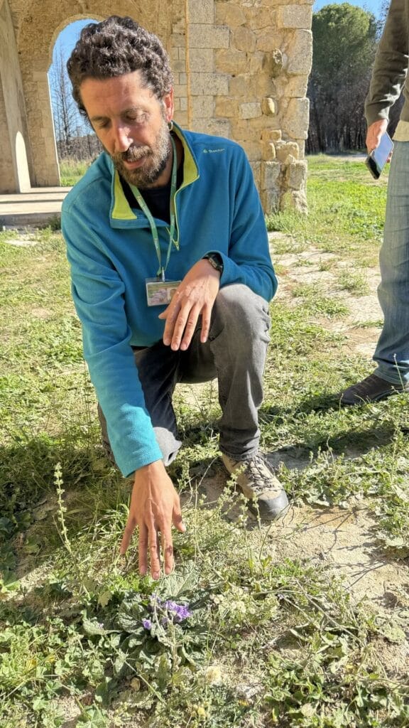 Geopark Floristella-Grottacalda - gids Michele vertelt over kruiden