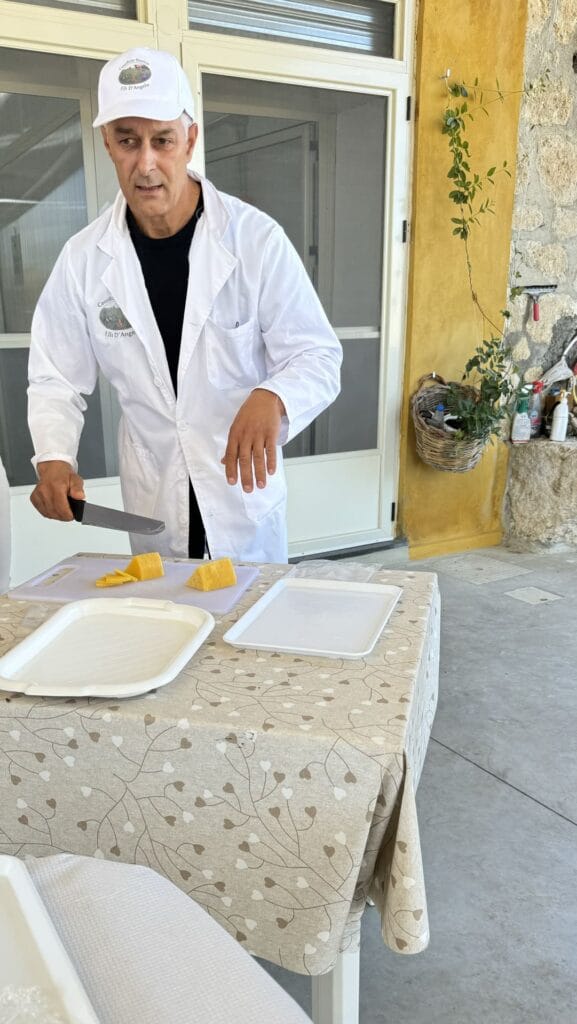 Nino D'Angelo - kaas met saffraan proeven