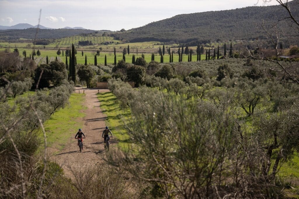 Tenuta il Cicalino - e-mountainbikers gravelpad
