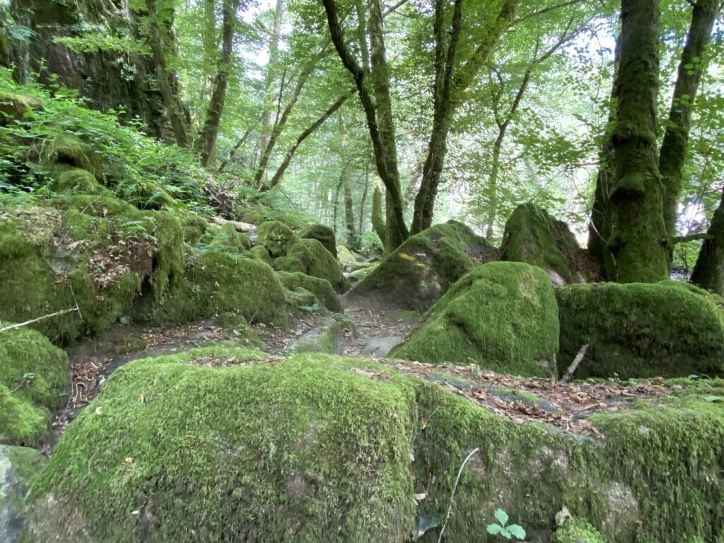 Wandelen in de vallei van de rivier Cousin Morvan