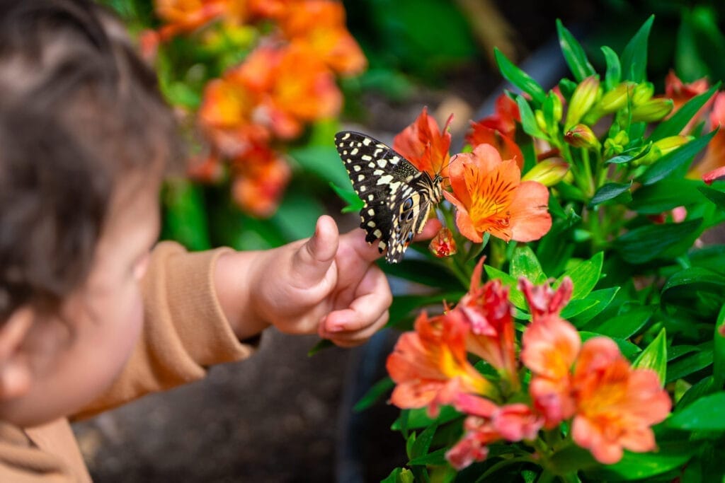 Butterfly house sardinie - vlinder op hand kind
