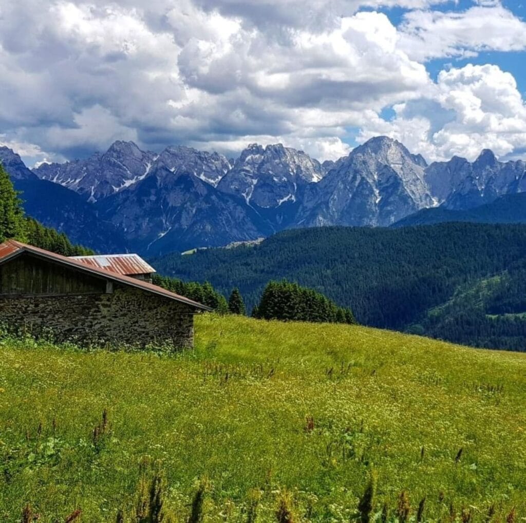Veneto: een reis door vergeten bergdorpen 11 B&B Campitello 13 - dolomieten - weide - bos