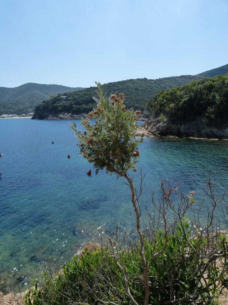 Elba - hike - kust