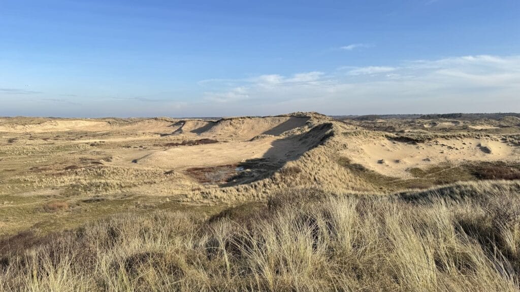 Duinen Castricum - natuurlijk duin en meer