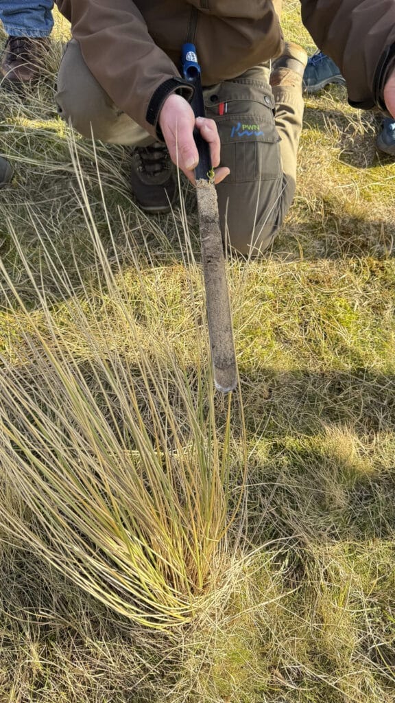 Duinen Castricum - boswachter bodemmeting kalk