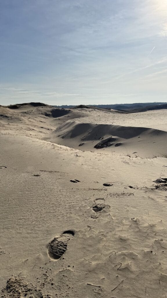 Duinen Castricum - voetstap in duin