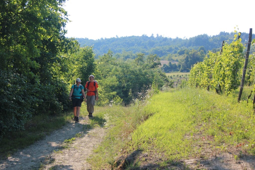 HIking Piemonte - wijngaard