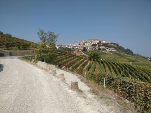 Wandelen Piemonte - Langhe