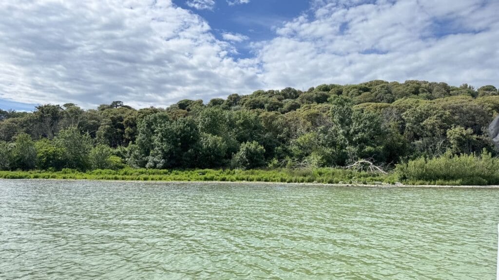 Trasimenomeer - Isola minore - bos