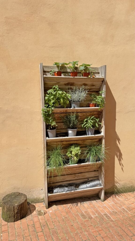 Paciano - plantenbak