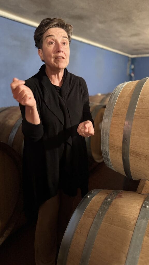 Lamborghini - uitleg wijn