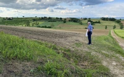 Tips Trasimenomeer - kookles - landschap