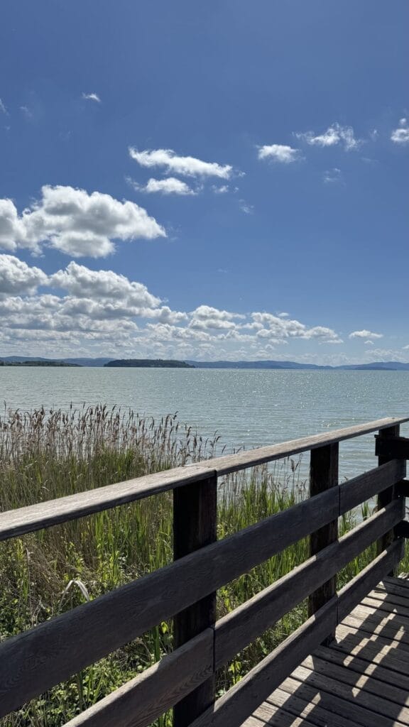 Trasimenomeer - houten bruggetje fietspad