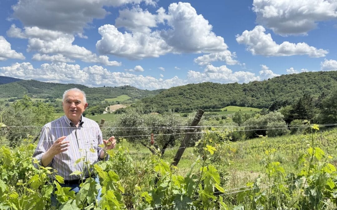 Biologische keuken - Berioli - roberto in zijn biologische wijngaard