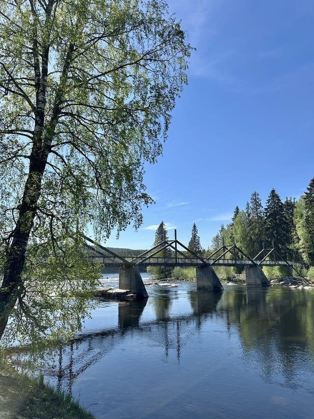 Brug over de Glomma rivier in het Norwegian Forrest museum in Elverum. www.Skogmus.no.