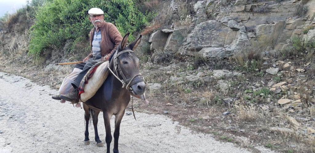 International park Douro - man op ezel