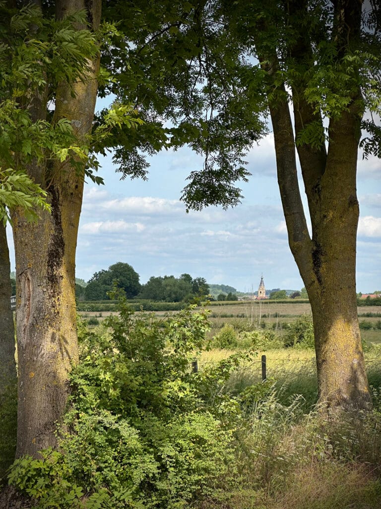 Doorkijkje tussen de bomen door - Wittem zuid limburg