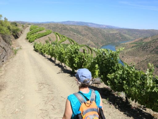 Douro International & Côa Valley - wandelen