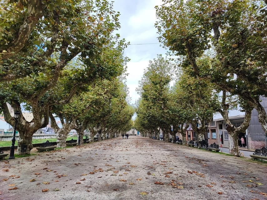 O Salnés Camino Portugues - herfst