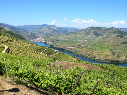 Fietsen Douro - uitzicht