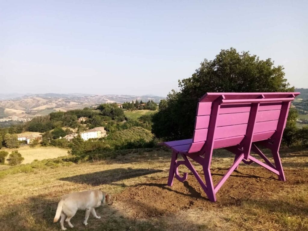 Le Marche - roze 'big bench'