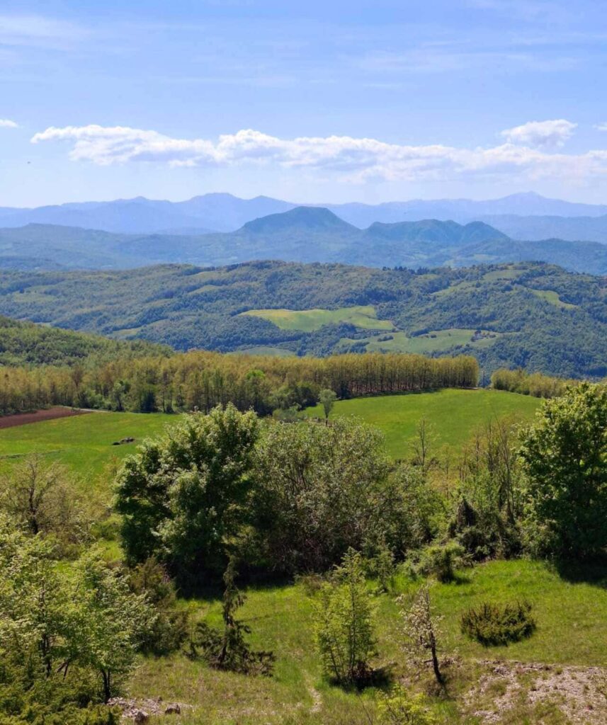 van bologna naar florence