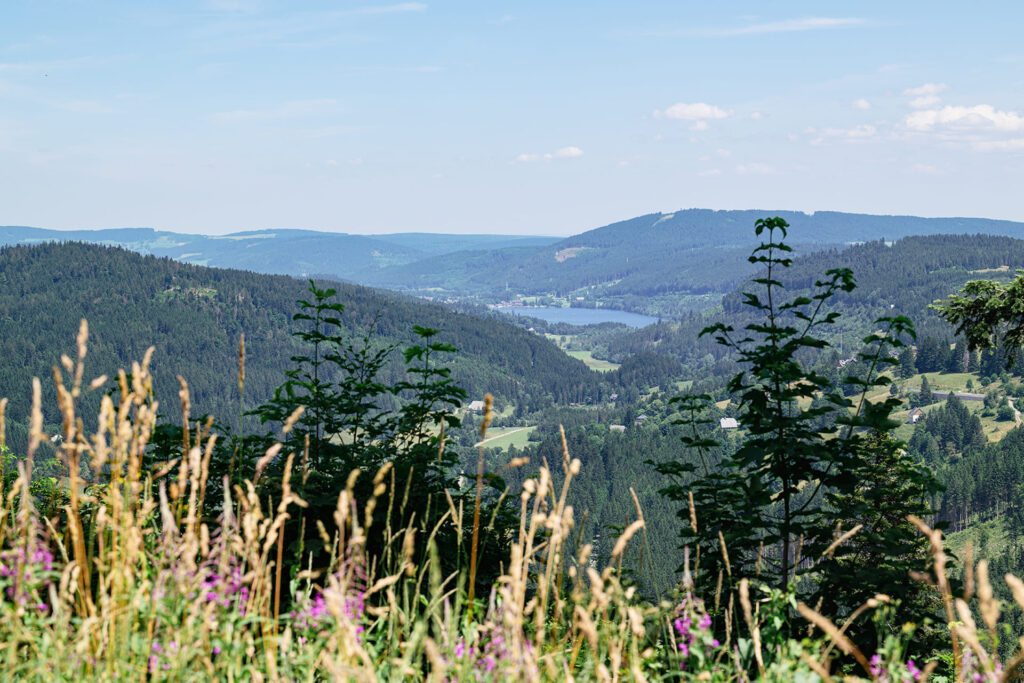 Van Schwarzwald naar Bourgogne