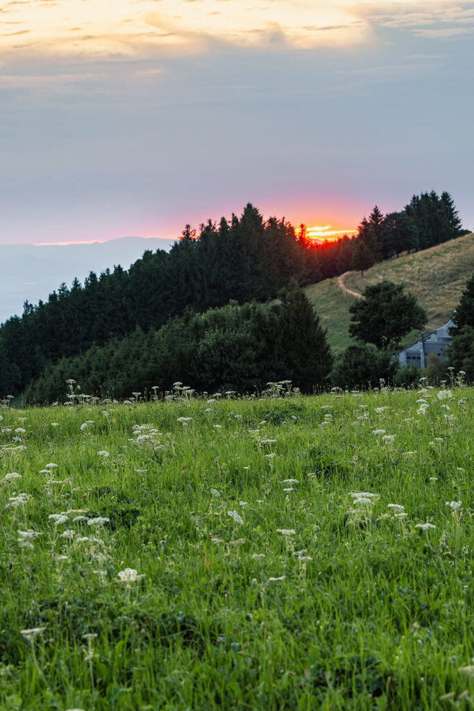 Ondergaande zon schwarzwald