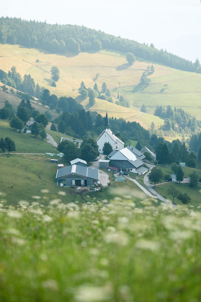 Panoramatour Schauinsland
