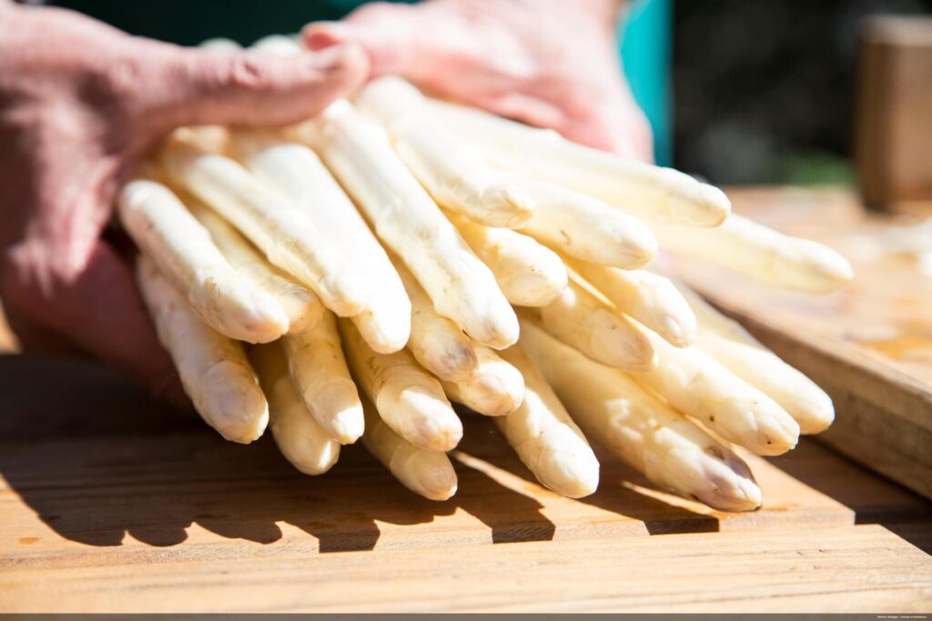 Asperges - Archivio Fotografico Consorzio Turistico Piana Rotaliana Königsberg