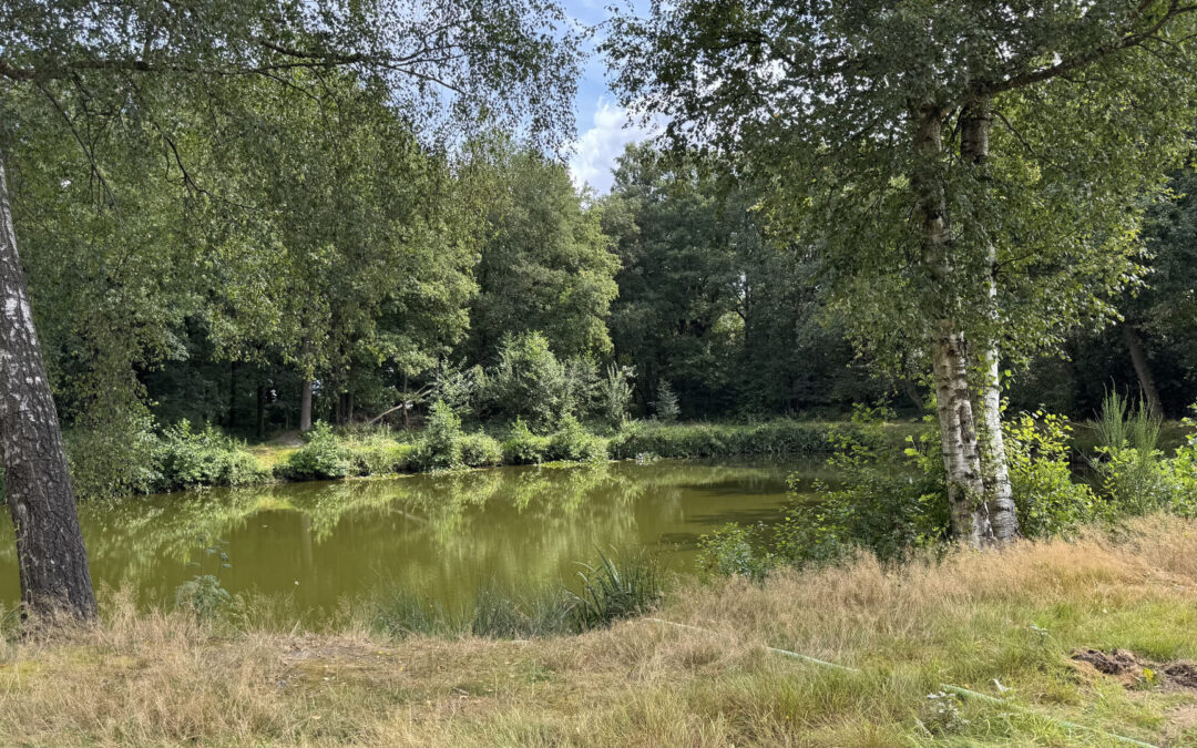 Twente